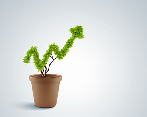 Obraz premium Koncepcja wzrostu