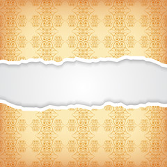 Vintage ornate background. EPS10 vector