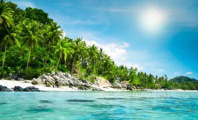 landscape of tropical island