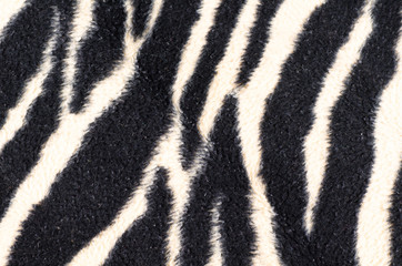 Obraz na płótnie Canvas Zebra rug