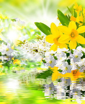 Fr&uuml;hlingserwachen