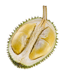 Fototapeta premium Shell (husk) of the prized durian fruit.
