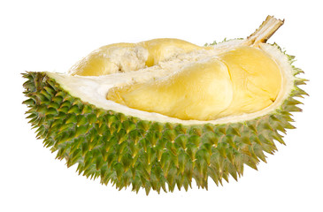 Shell (husk) of the prized durian fruit.