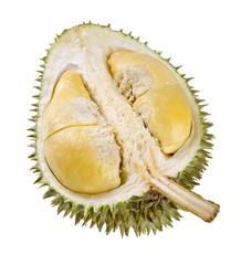 Fototapeta premium Shell (husk) of the prized durian fruit.