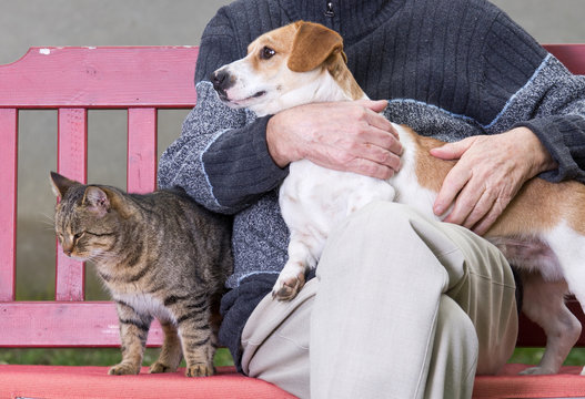 Man With Dog And Cat