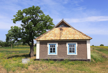 Fototapeta na wymiar ukrainian rural house