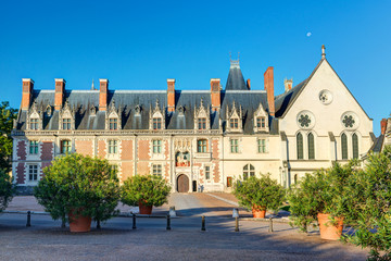 Chateau Royal de Blois, France. Old castle like palace in Loire Valley in summer.