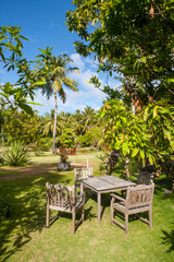 Fototapeta premium dining in a tropical garden