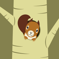 Squirrel peeking out of nest hole on the tree