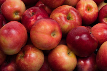 Ripe red-yellow apples closeup