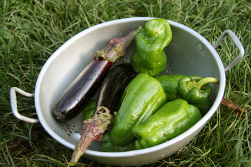 légumes provençaux