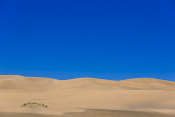 Maspalomas Duna - Desert in Canary island Gran Canaria