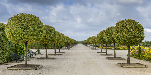 Rundale government florist park, Latvia, Europe