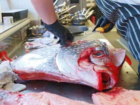 fisch ausnehmen