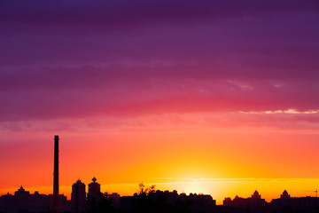 Naklejka premium summer sunrise