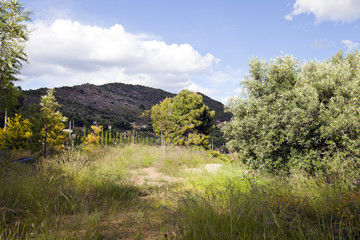 Fototapeta na wymiar View of countryside and hills near Pu√ßol Valencia