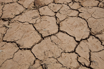 Close-up view of dry cracked soil