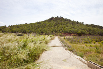 Rural road leading to hill, Valencia region, Spain