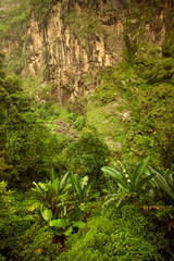 Beautiful Asian landscape