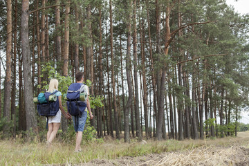 Fototapeta premium Full length rear view of young backpackers holding hands in woods