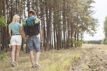 Rear view of young couple holding hands while hiking in forest