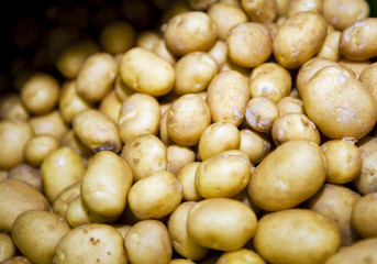 Close-up of potatoes in supermarket