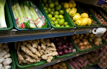 Various vegetables on display in grocery store