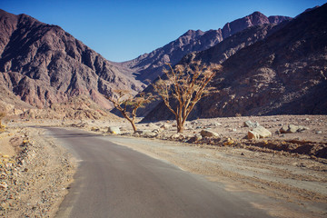 desert road