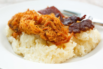 Sticky rice with sweet pork chop and fried meat.
