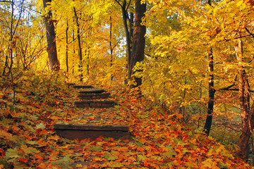 Obraz premium Stairways in autumn park
