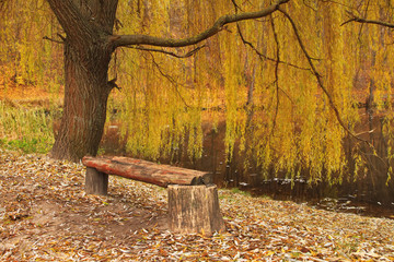 Obraz na płótnie Canvas Old park in autumn