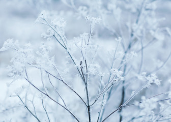 winter background
