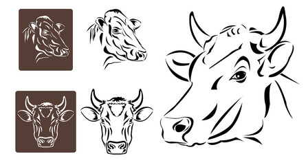 Line art of cow's head