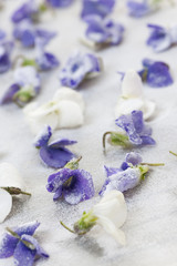 Candied Violets