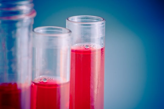 test tubes with red liquid in laboratory