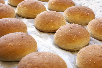 bread rolls