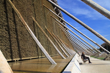 Bad Nauheim, Gradierbau iV, Saline