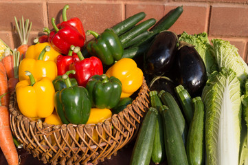 Healthy Bio Vegetables on a clay brick Background