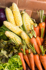 healthy Bio Vegetables on a clay brick Background