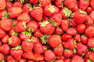 Fresh red strawberry