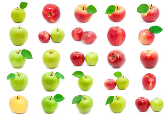 Apples