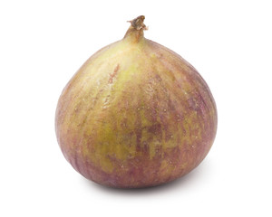 Fig