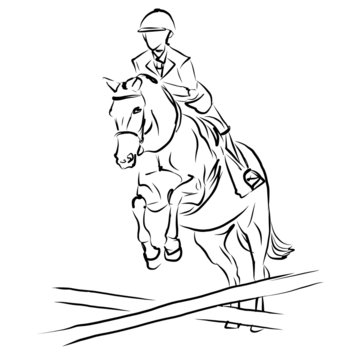horse ridding young girl show jumping jumping gate