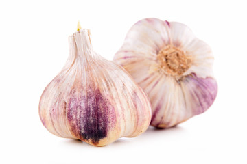 garlic bulb isolated
