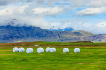 Icelandic Rural Landscape.