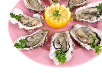 Oysters isolated on white