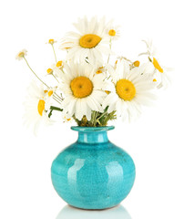 Beautiful bouquet chamomiles in vase isolated on white