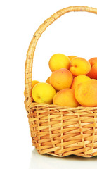 Fresh natural apricot in wicker basket isolated on white