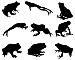 Black silhouettes of  frog, vector