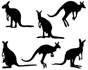 Black silhouettes of kangaroo, vector illustration - obrazy, fototapety, plakaty